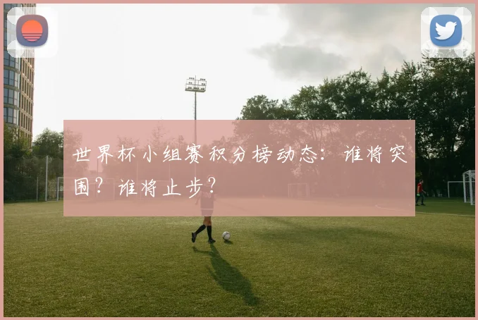 世界杯小组赛积分榜动态：谁将突围？谁将止步？