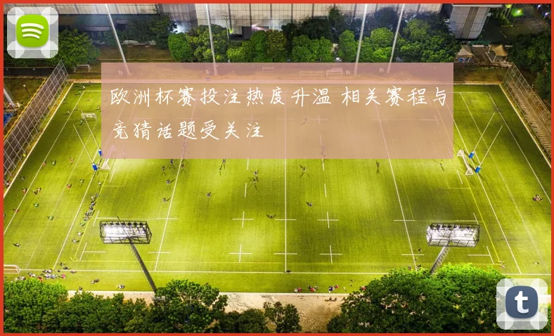 欧洲杯赛投注热度升温 相关赛程与竞猜话题受关注