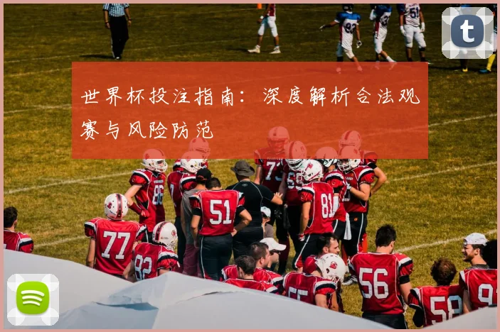 世界杯投注指南：深度解析合法观赛与风险防范