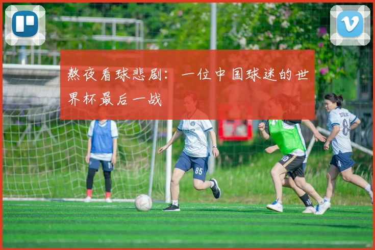 熬夜看球悲剧：一位中国球迷的世界杯最后一战