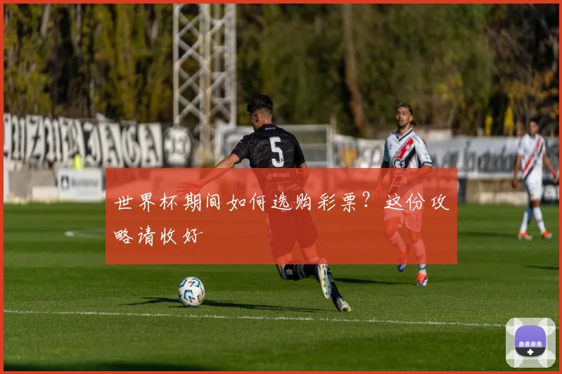 世界杯期间如何选购彩票？这份攻略请收好