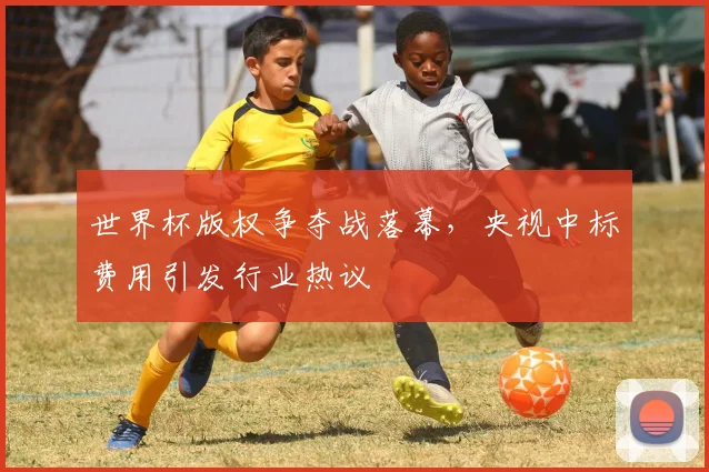 世界杯版权争夺战落幕，央视中标费用引发行业热议