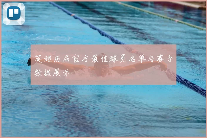 英超历届官方最佳球员名单与赛季数据展示