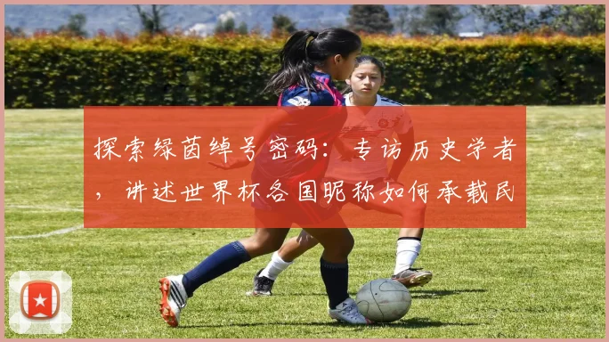 探索绿茵绰号密码：专访历史学者，讲述世界杯各国昵称如何承载民族精神