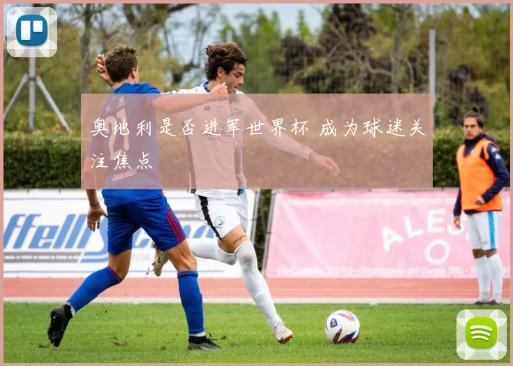 奥地利是否进军世界杯 成为球迷关注焦点