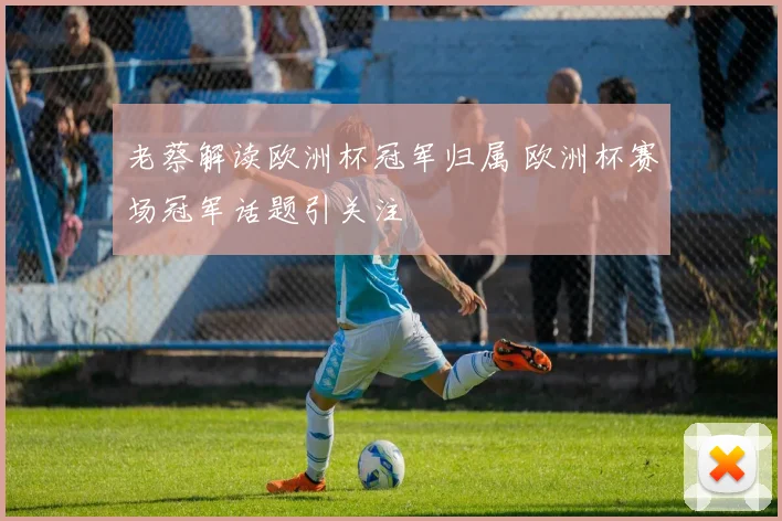 老蔡解读欧洲杯冠军归属 欧洲杯赛场冠军话题引关注
