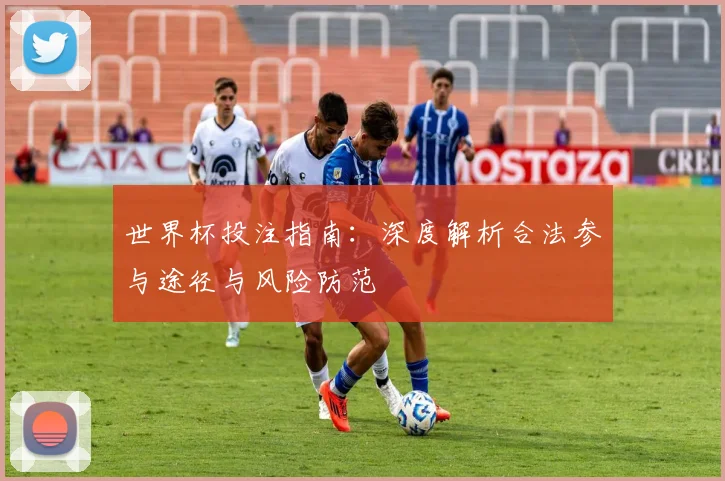 世界杯投注指南：深度解析合法参与途径与风险防范