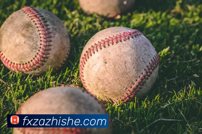 星空体育平台生态图